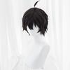 High-quality Dan Heng Cosplay Wig, Dan Heng Anime Style, Heat-resistant, Perfect for Parties, Events, and Costumes. Includes Wig Net. New