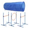 Dog Agility Training Equipment Collapsible Tunnel Jump Ring Poles Dog Obstacle Training Kit for Yard Outdoor