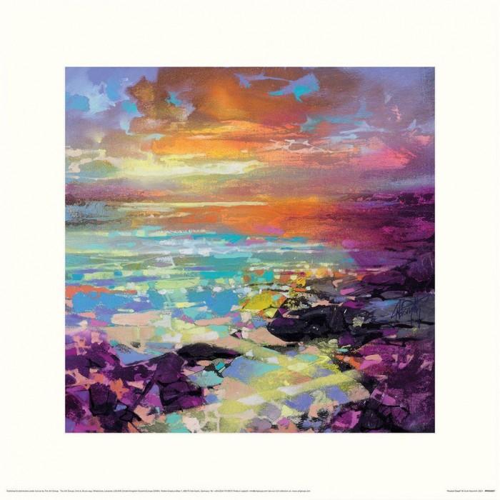 Scott Naismith Fractal Coast Print