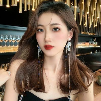 Leichter Luxus und High-End-Feeling, superlange Perlen-Quasten-Ohrringe, weibliche Persönlichkeit, übertriebene Temperament-Ohrringe, Nischen-Ohrringe