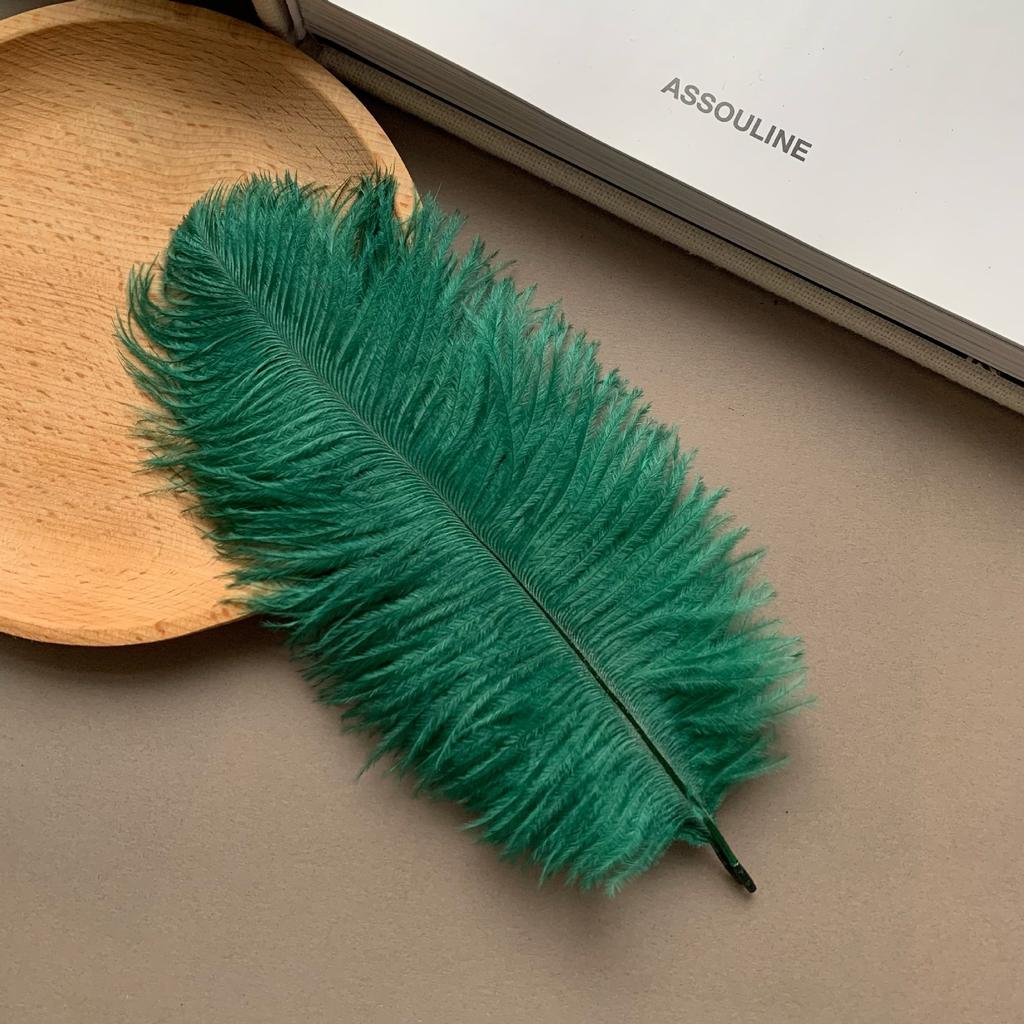 Color ostrich hair 15-20CM ostrich feather Internet celebrity photo background wall feather cake flower arrangement DIY decoration