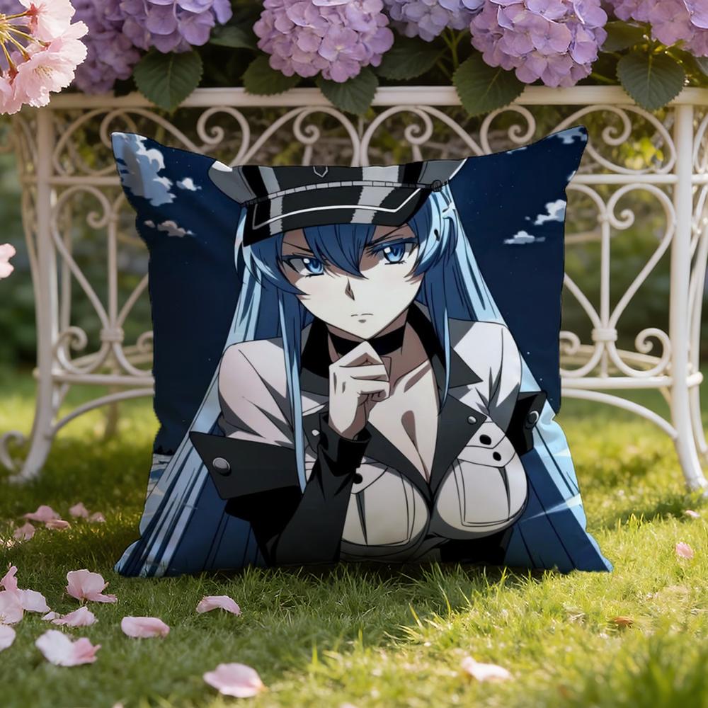 A-Akame Ga K-Kill Cushion Cover Home & Car Dual-Scene Pillow Cover: Reversible for Premium Comfort