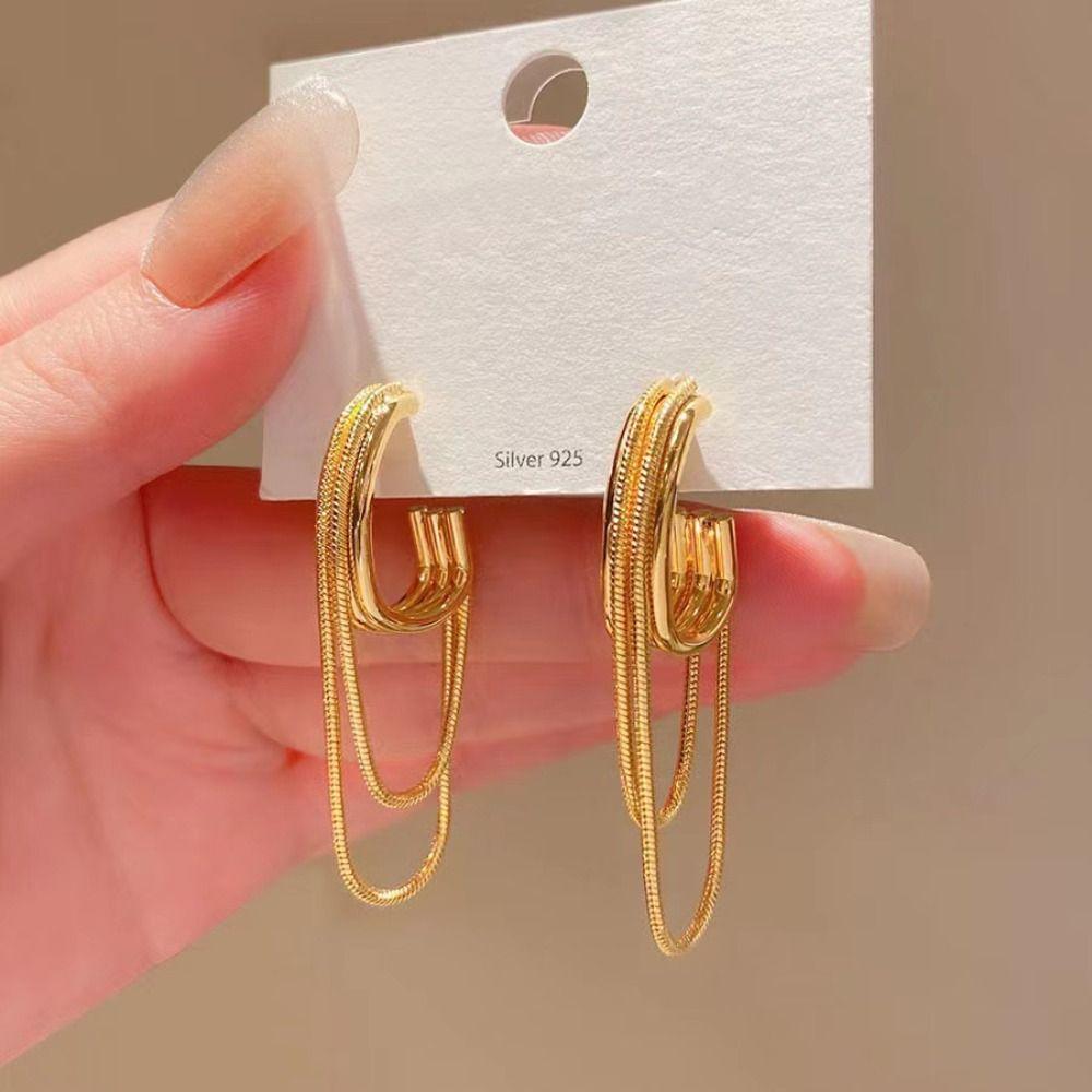 Gold/Silver Tassel Earrings Ring Hoop Earrings Minimalist Metal Tassel Geometric Earrings  Women