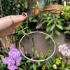 2 Pieces Flower Pot Ring Bracket Wall Mounted Plant Holder Metal Heavy Duty Planter Ring Holder Indoor Hanging Plant Rack
