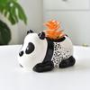 3 Pcs Cute Panda Succulent Planter Cartoon Animal Design Flowerpot