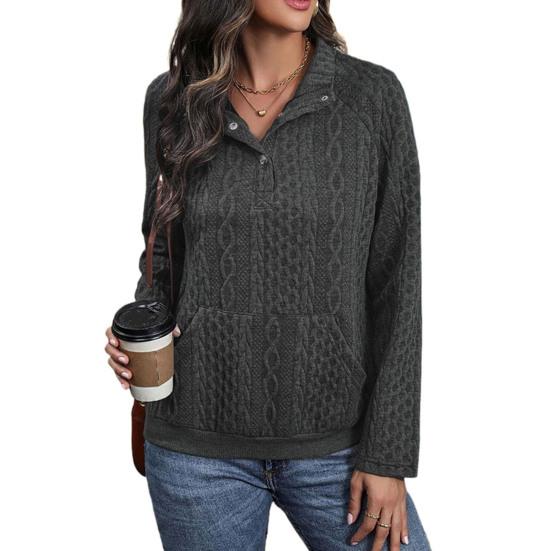 Fall Winter Sweatshirt Twisted Texture Turn-down Collar Pleathed Pocket Long Sleeves Loose Thick Pure Color Elastic Cuff Daily Wear Casual Top