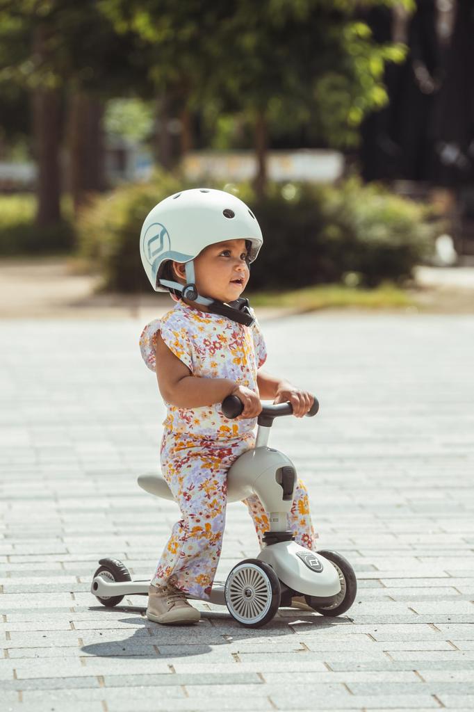 Scoot and Ride Highwaykick1 Ash 1pc 160629 (x 1)