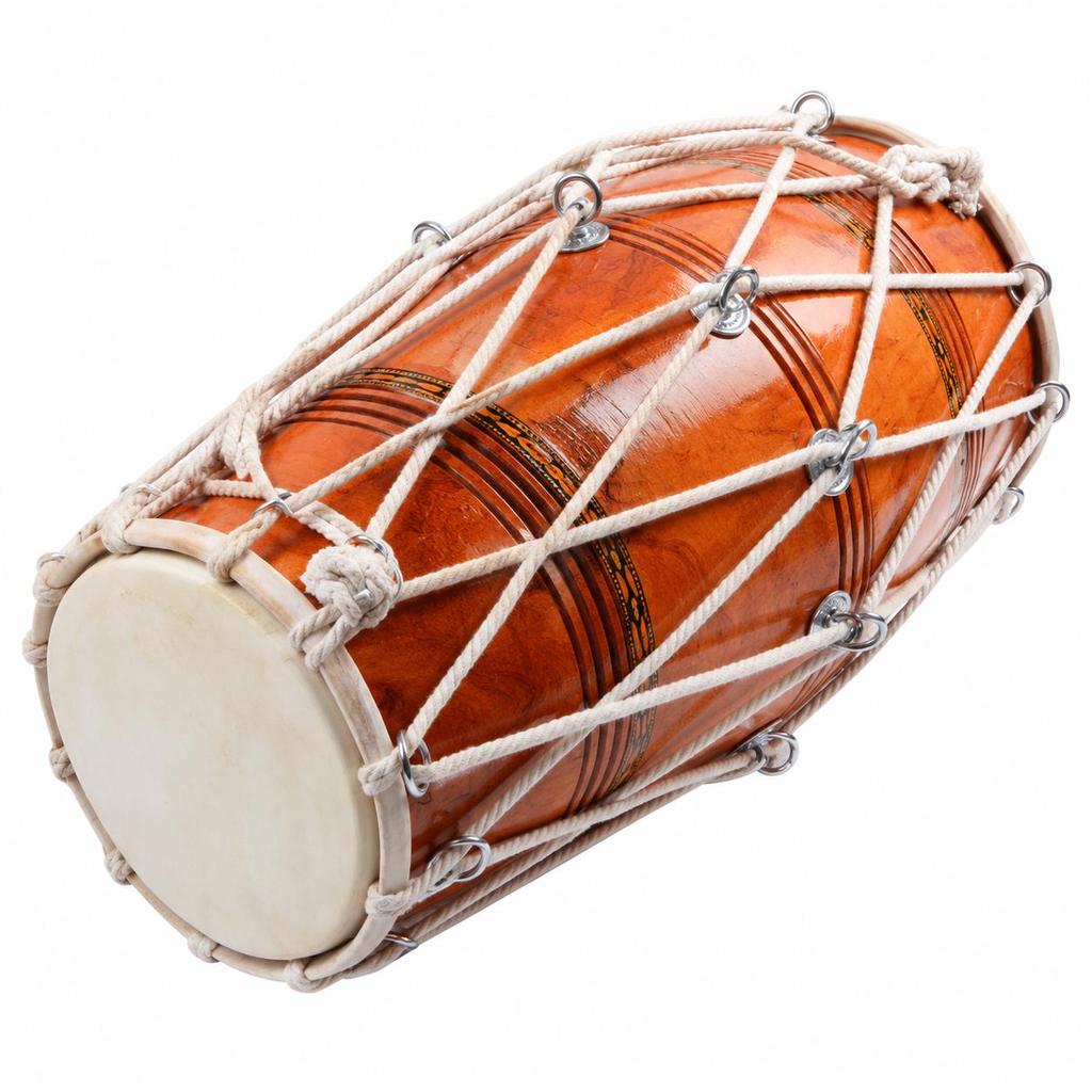 Indian Professional Bina Dholak no. 35 TR Musical Instrument With Bag