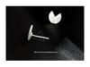 Banyan Tree S925 Silver Brushed Geometric Cutaway Round Earrings for Women - Sweet Cool Style