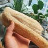 Spugna Luffa Naturale ed Ecologica Scrubber Per Cucina Spugna da Bagno Scrubber Spa Bagno