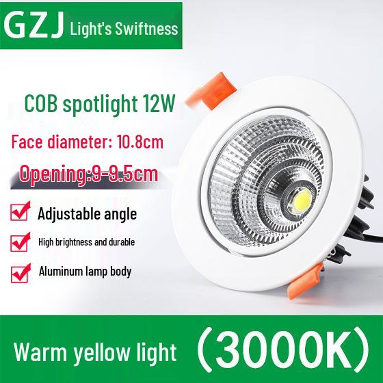Recessed 20W Spotlight Downlight for Clothing Stores, 15-30W Commercial Ceiling Light