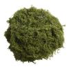 Breathable Artificial Moss Fake Moss Plastic Moss Aesthetic Appeal