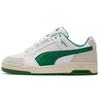 Slipstream Lo Retro Men White Amazon Green 384692-02