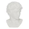 DECORATION white head of David made of plastic CLASSIC