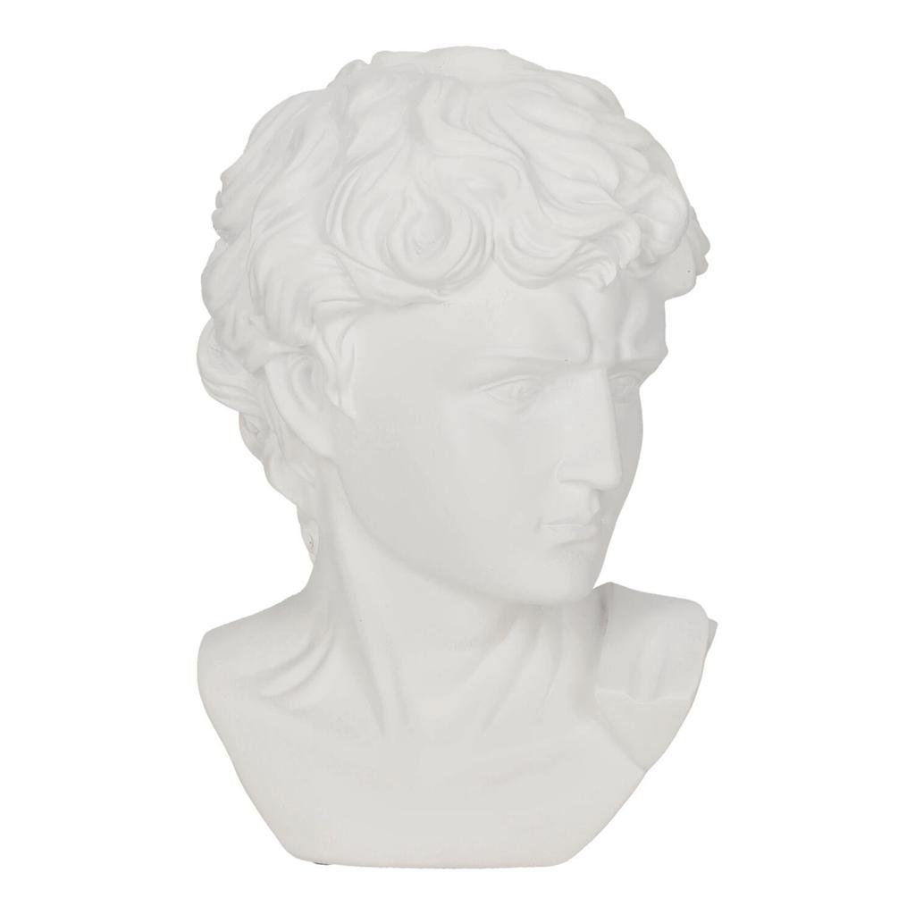DECORATION white head of David made of plastic CLASSIC