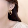 New Popular Metal Ring Earrings with A Sense of Luxury, Unique Earrings, Fashionable and Personalized Earrings