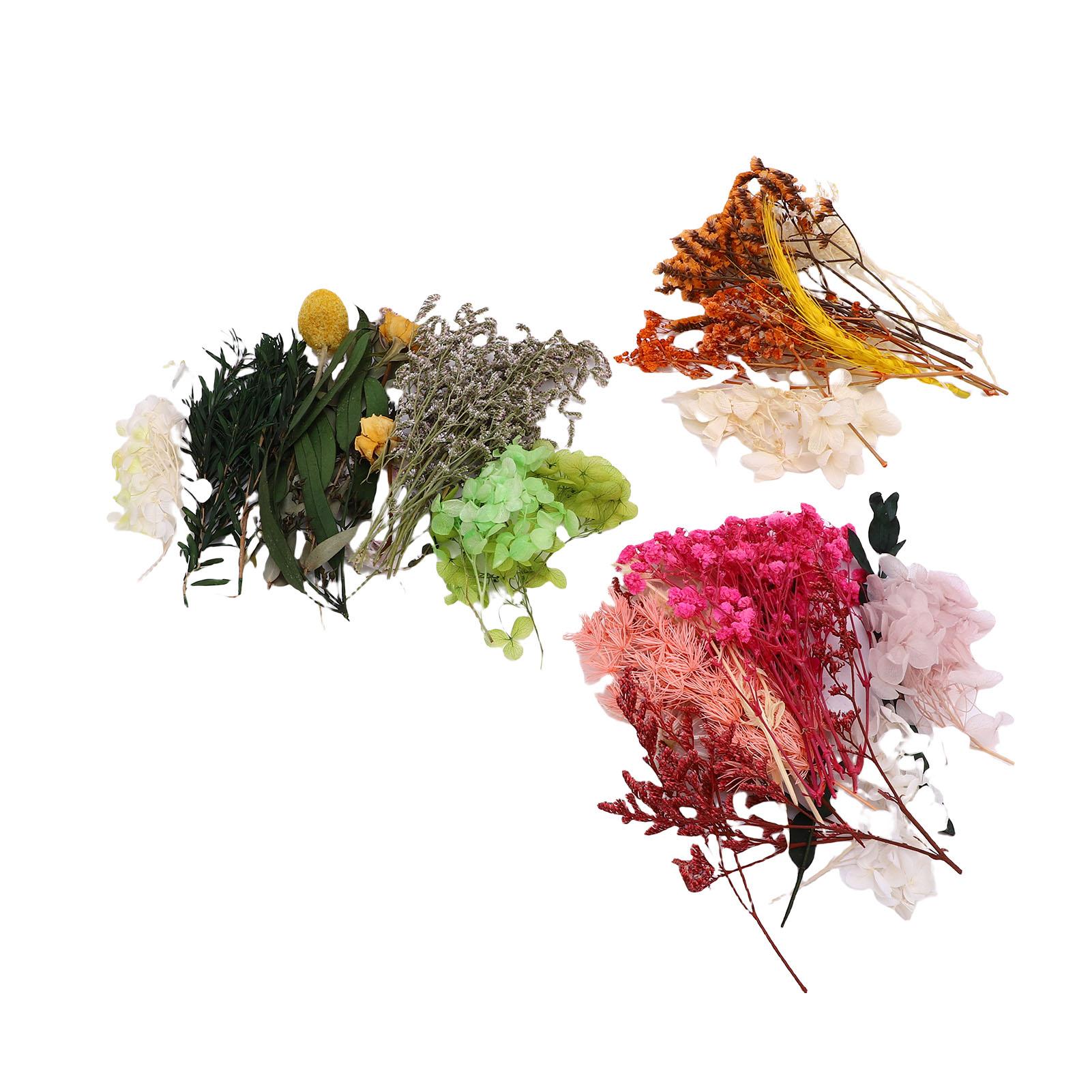 3 коробки пучков сухоцветов, набор материалов для изготовления искусственных цветов, товары для украшения дома