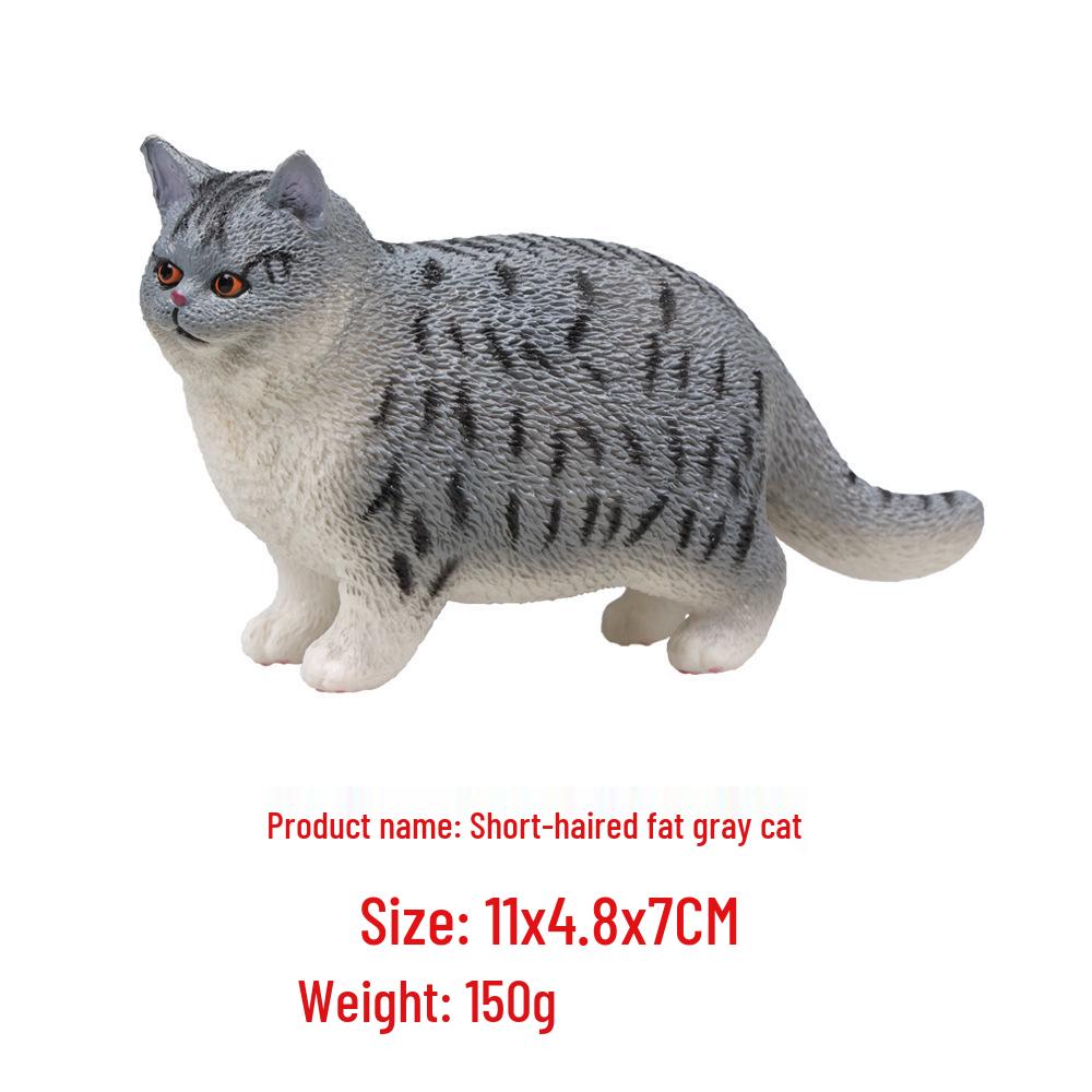 "Wildes Meerestier Simulationsmodell": Kinder Bildungs-Heimdeko-Spielzeug"