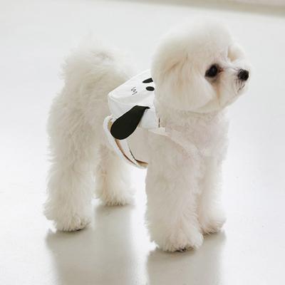 Animalele de companie ies din rucsacuri, câini, pisici, ghiozdane mici, curele pentru piept Teddy Bichon, cățeluși drăguți din desene animate
