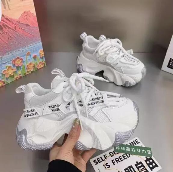 Dad Shoes Women's 2026 Spring New Breathable Mesh European Platform Sneakers, Versatile Casual Shoes ins Shoes