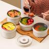 304 Stainless Steel Double-Layer Insulated Lunch Box with Portable Bag and Container