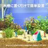 NASSIA Marine Life Eel Miniature Figurine Set of Aquarium Decorative Interior and Relaxing Merchandise 7, Accessories, Objects,