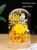 Handmade Preserved Flower Glass Dome Ornament: Double Ninth Festival DIY Kit for Creative Gifts & Team Activities