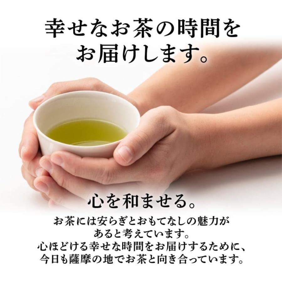 Katajo Sencha Kirishima Specialty Kagoshima Tea Japanese Tea Sencha Tea delivery service for tea time x 1 Kagoshima, (100g (100g bag))