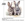 Watercolor Bunny Wall Sticker Nursery Decor Cartoon Rabbit for Kids Room, Waterproof PVC Decal, Decorative Decals Baby Peel And Stick Art Bedroom