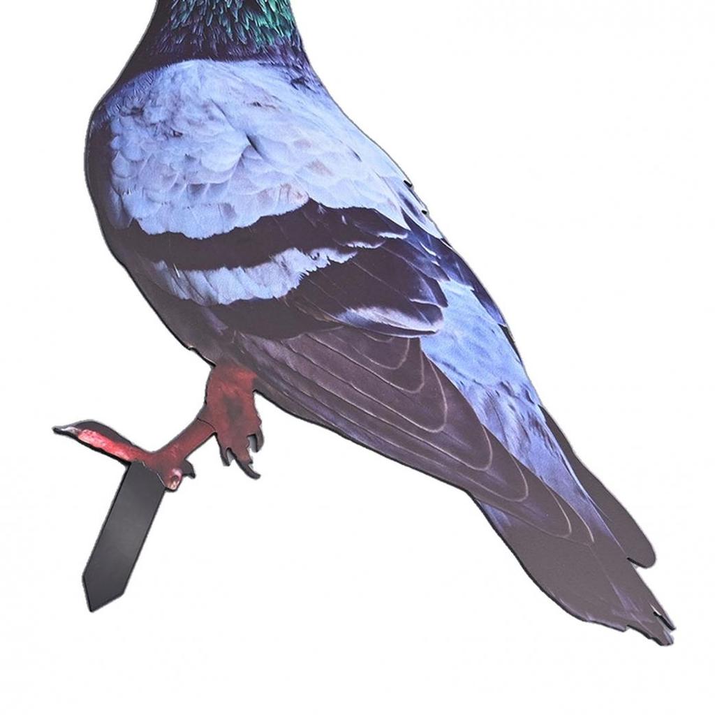 Garden Pigeon Outdoor Space Package Content Statue