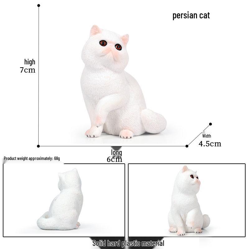 Solid Orange Persian, Ragdoll, Somali, and Blue Short-haired Cat Simulation Models