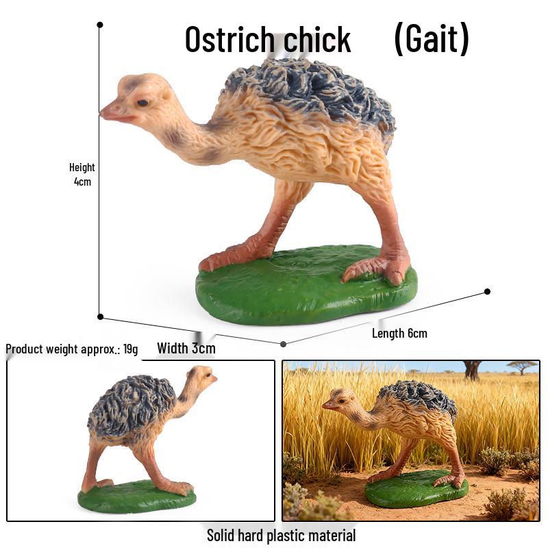 Children's Animal Simulation Toy Set: Eagle, Falcon, Secretary Bird, Owl Figurines