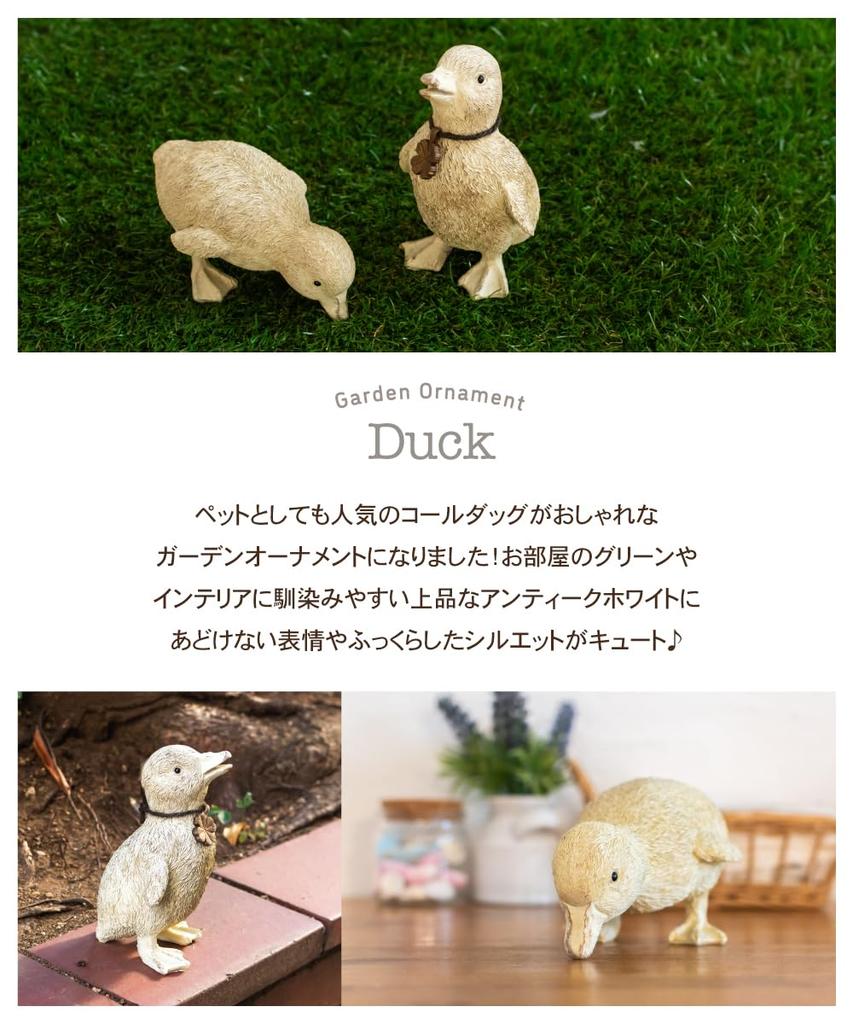 Duck Bird Garden Decorative Cute Set of 2 for Ornament, Figurine, Item, White, (Perfect Children)