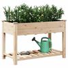 Garden Planter with Shelf Beige 115 x 59 x 76.5 cm