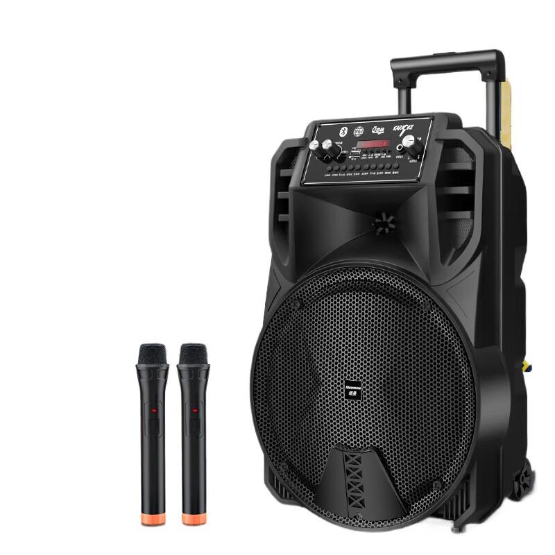 

Newmine N509 Portable 12-inch Karaoke Bluetooth Speaker