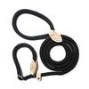 Competition-Grade Anti-Surge P-Chain Dog Leash for Training and Walking - Suitable for Small, Medium, and Large Dogs