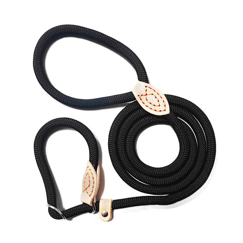Competition-Grade Anti-Surge P-Chain Dog Leash for Training and Walking - Suitable for Small, Medium, and Large Dogs