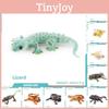 Realistic Reptile Lizard Chameleon Model With Plastic Material For Educational Display And Collecting