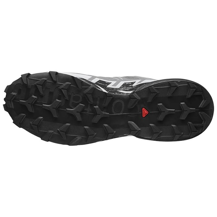 SALOMON Speedcross 6 'Grey' / L00 417380