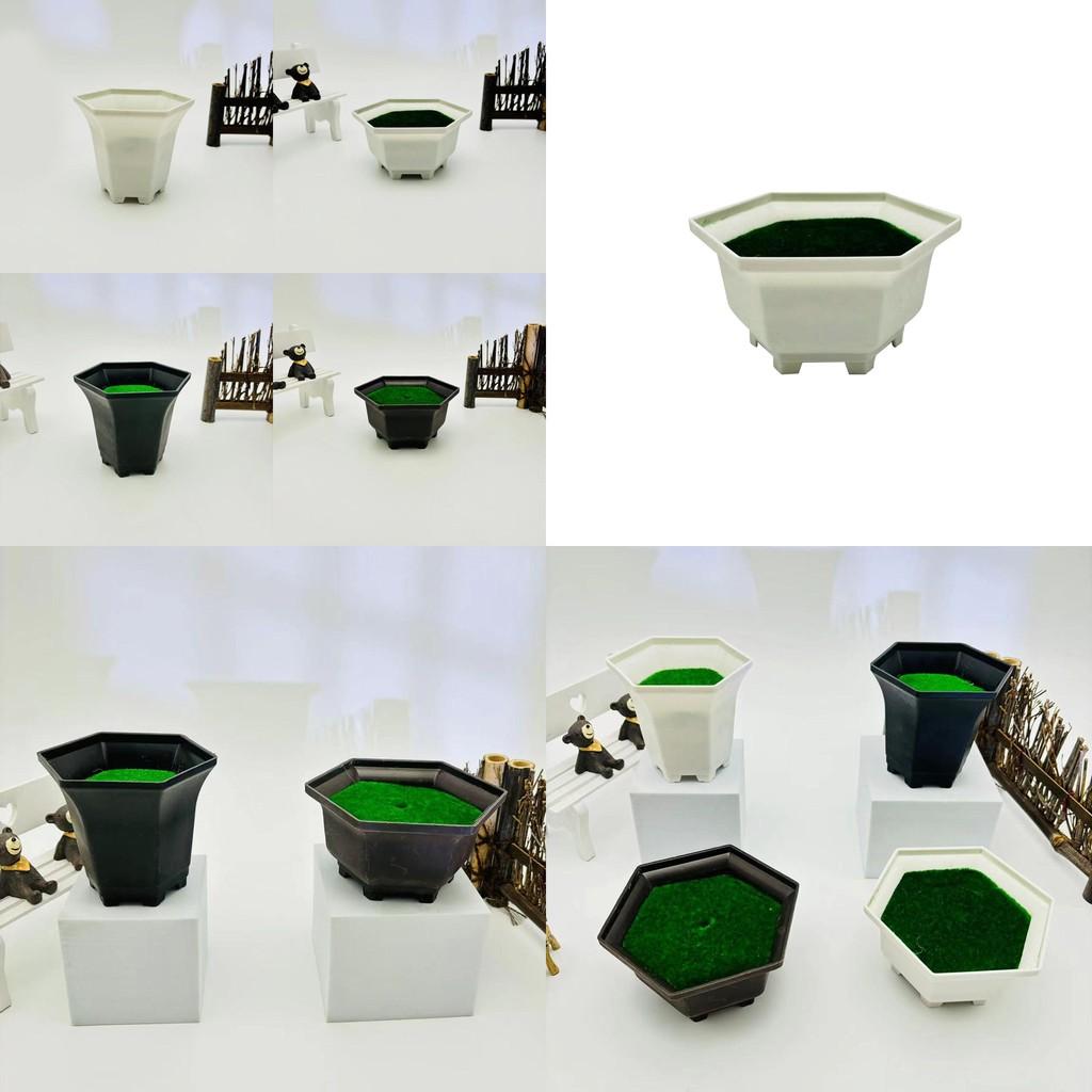 Minimalist Hexagon Planter With Plastic Construction For Home Office Indoor Use