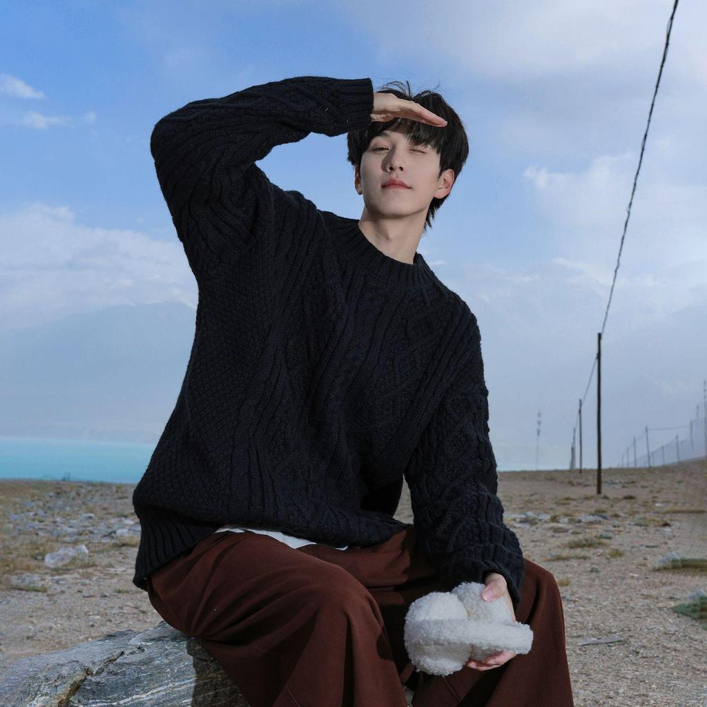 Men's Japanese Retro Hong Kong Literary Knit Sweater - Twisted Pattern, Round Neck, Autumn Casual