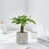 Japanese Embossed Cement Planter: Indoor Formaldehyde-Absorbing, Air-Purifying, Breathable Pot for Green Plants
