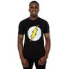 DC Comics Mens Flash Distressed Logo T-Shirt