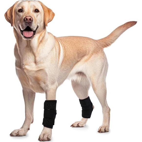 ROZKITCH Dog Leg Protector for Rear Hock Joint or Front Leg Knee, 1 Pair of Dog Leg Compression Wrap Sleeve for Anti Licking Carpal Support Ankle