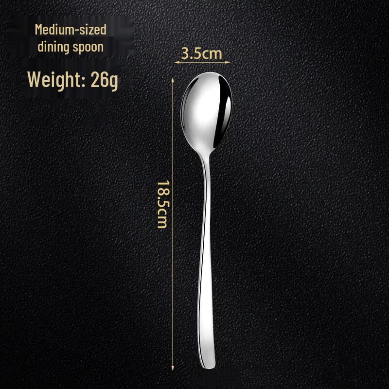 Abay 316 Stainless Steel Versatile Spoon