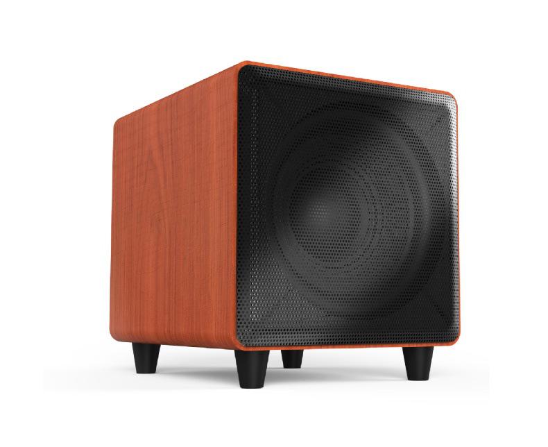 Tianlai 10-inch Active Subwoofer for Home Theater & KTV Audio