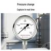Huixiang Y-100BFS Pressure Gauge (CN version)