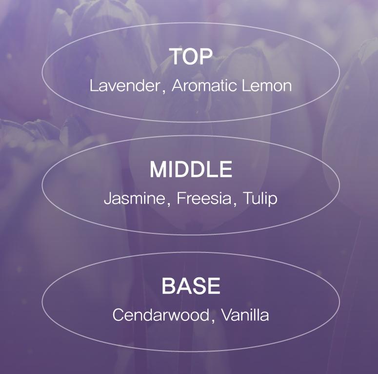 Miseenscene Salon10 Professional Cica Protein Treatment 300ml – Koreanische Haar-Reparaturbehandlung