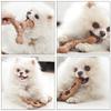 Bite-resistant Pet Dog Toys Interactive Teeth Grinding Dog Toys Teeth Cleaning Toy Funny Puppy Training Toy Dog Accessories