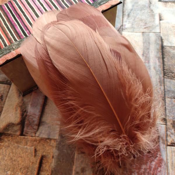 20pcs Natural Goose Feathers 31 Color Loose Goose Feathers 12-20cm Long Christmas Decoration Clothing Shoes Hat Accessories